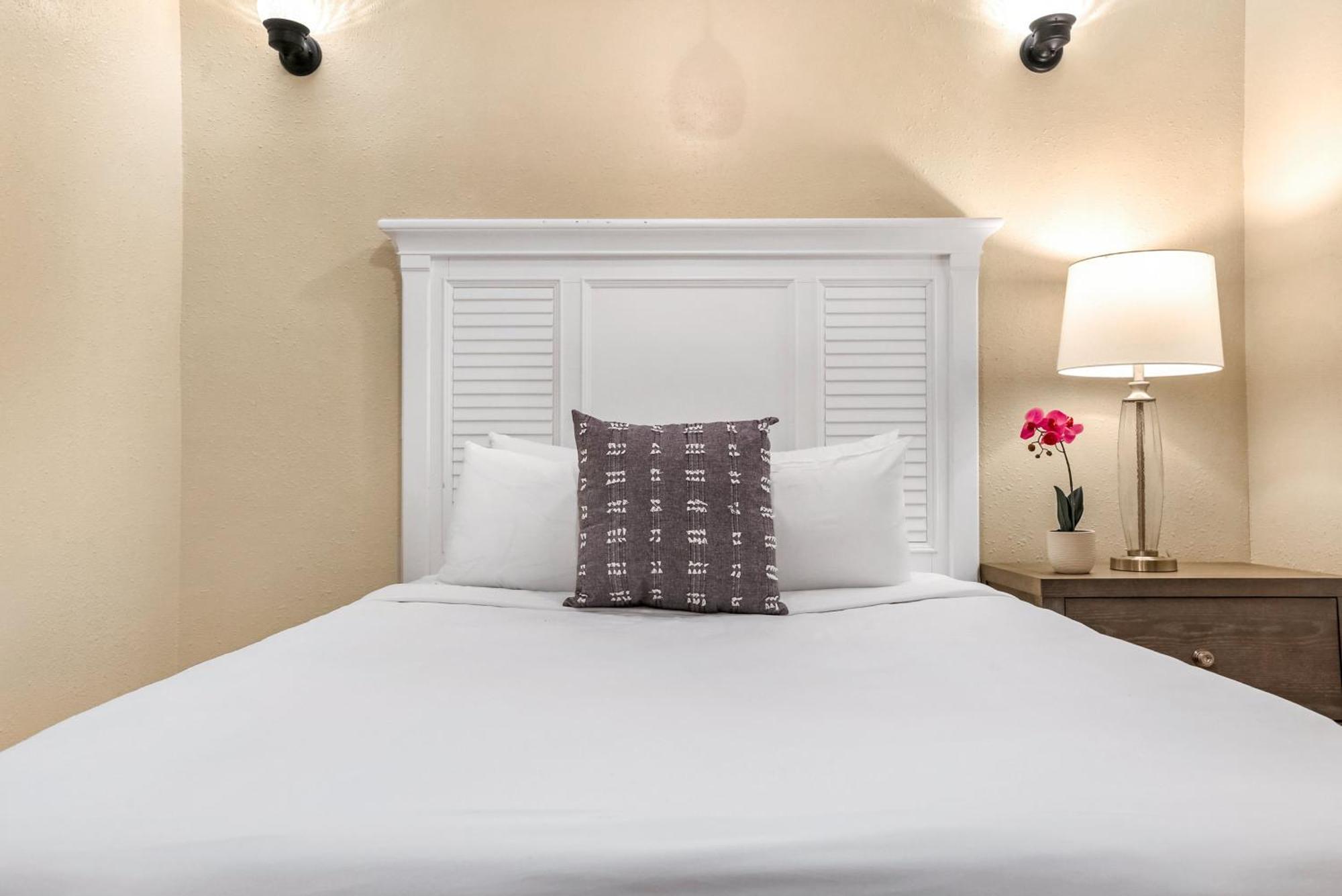 Spacious And Fully Furnished Near St. Charles Apartment New Orleans